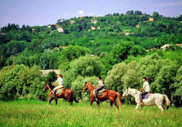 Las mejores ofertas de Torre Artale Hotel & Residence Trabia 