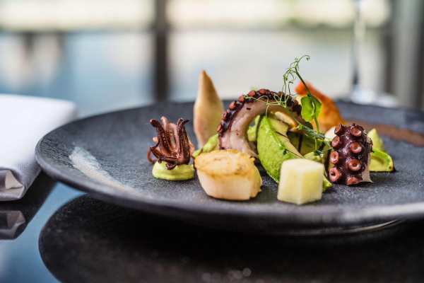 Las mejores ofertas de Hyatt Regency Cologne Colonia