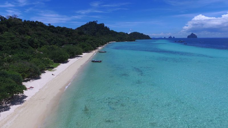 The Sevenseas Resort