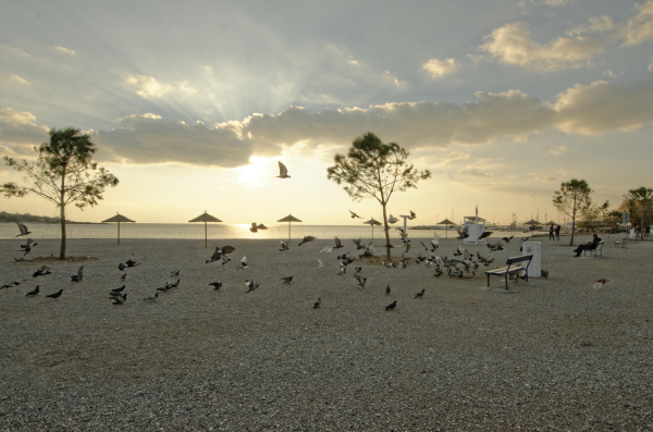 Las mejores ofertas de Palmyra Beach Glyfada