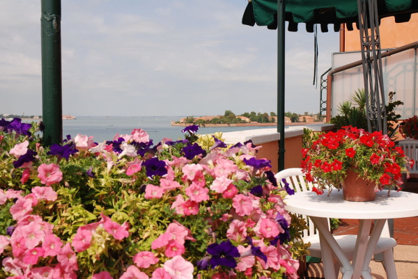 Las mejores ofertas de RIVIERA Celle Ligure 