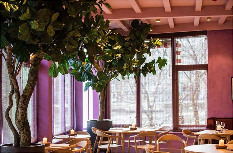 Las mejores ofertas de TIVOLI DOELEN AMSTERDAM Amsterdam