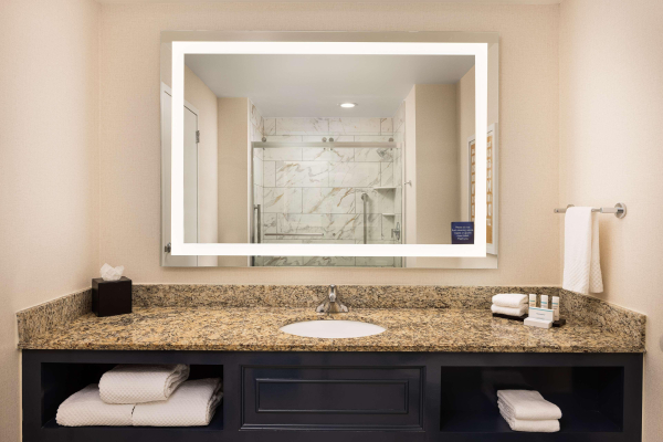 Las mejores ofertas de Embassy Suites by Hilton Atlanta Buckhead Atlanta