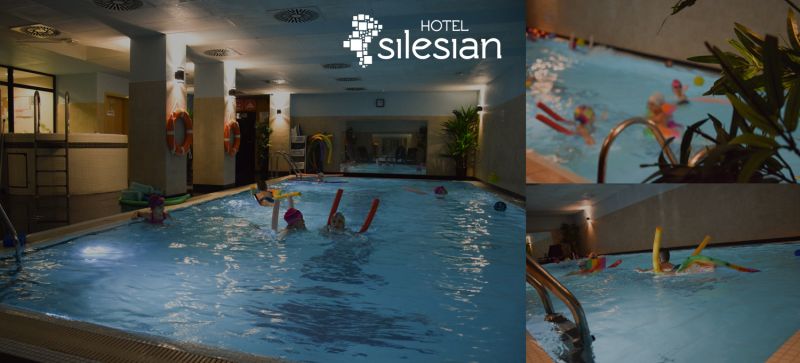 Economy Silesian Hotel