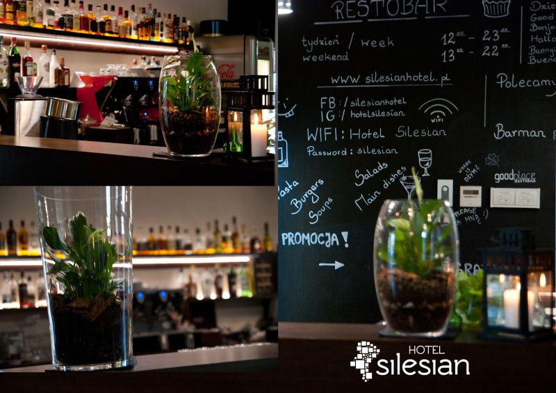 Economy Silesian Hotel