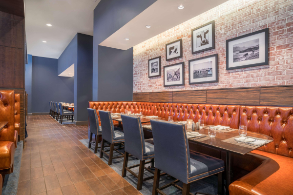 Las mejores ofertas de Hilton Minneapolis/ Bloomington Bloomington