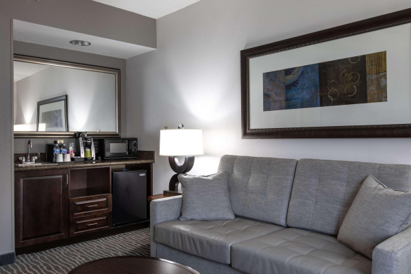 Las mejores ofertas de Hilton Garden Inn Lynchburg Lynchburg