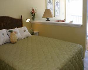 Barefoot Beach Hotel Madeira Beach