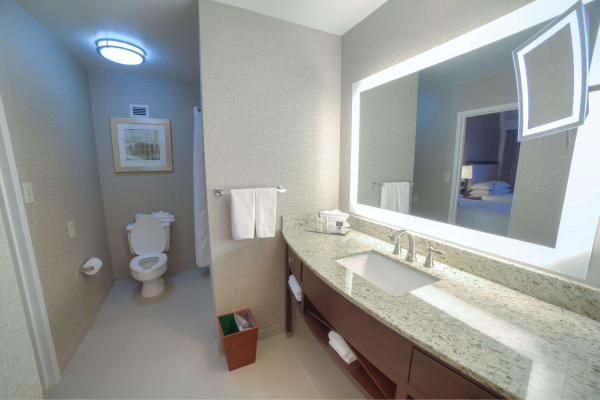 Las mejores ofertas de Doubletree Suites by Hilton at The Battery Atlanta Atlanta 