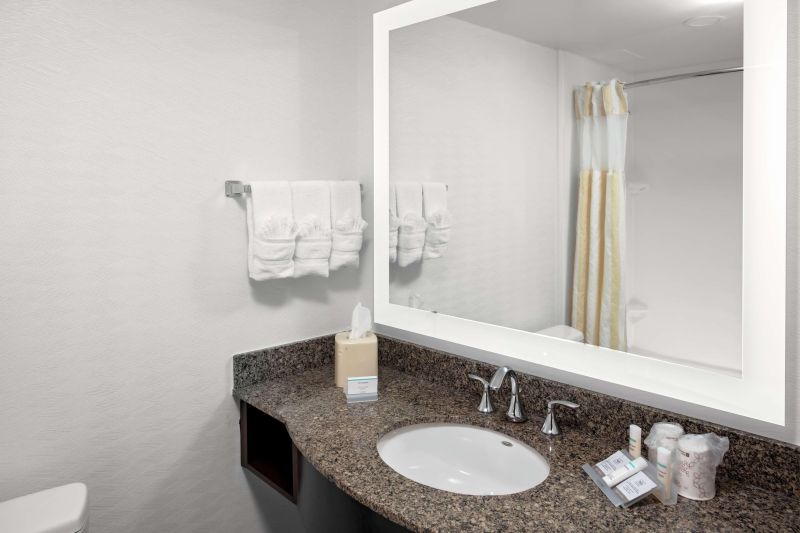 Las mejores ofertas de Hilton Garden Inn Atlanta Perimeter Center Atlanta