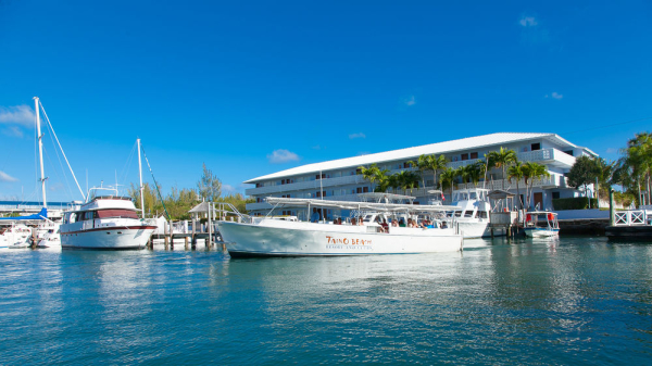 Las mejores ofertas de FLAMINGO BAY HOTEL & MARINA Freeport 