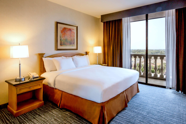Las mejores ofertas de DoubleTree Suites by Hilton McAllen Mcallen