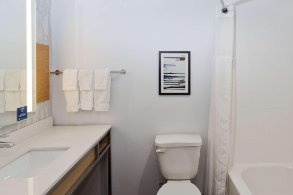 Las mejores ofertas de Hilton Garden Inn Birmingham SE- Liberty Park Birmingham