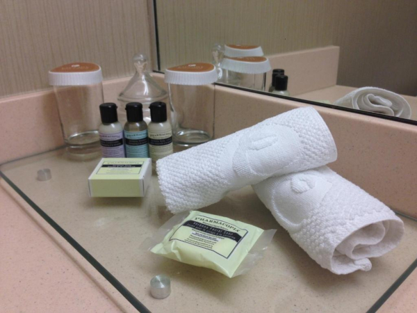 Las mejores ofertas de Executive Hotel Vancouver Airport Richmond