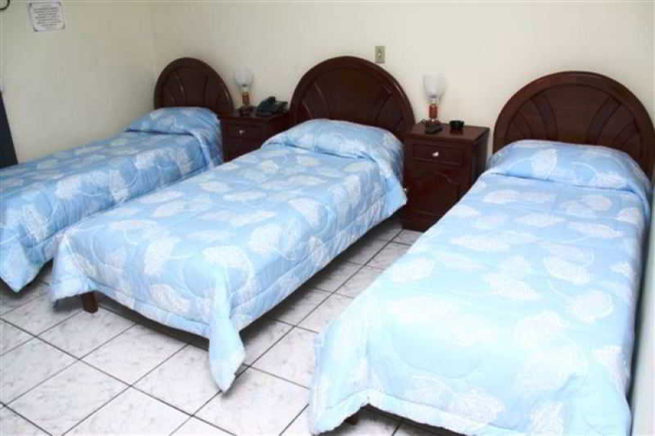 Las mejores ofertas de Avenida Palace Santos