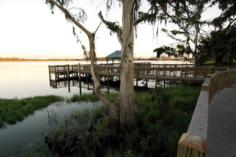 Las mejores ofertas de Blue Heron Beach Resort Walt Disney World