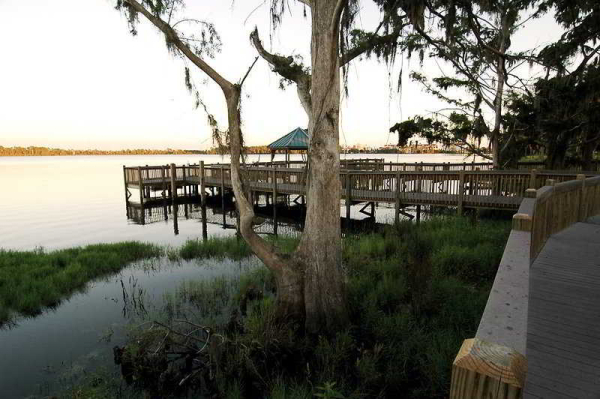 Las mejores ofertas de Blue Heron Beach Resort Walt Disney World