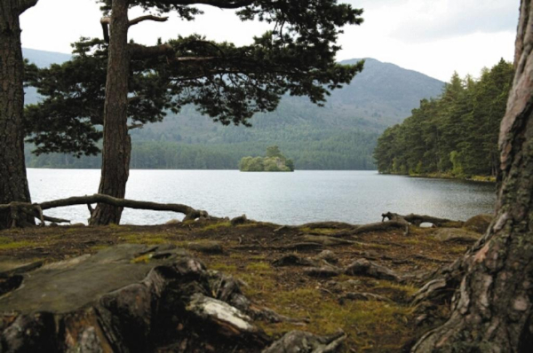 Las mejores ofertas de Macdonald Morlich Hotel Aviemore