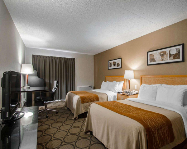 Las mejores ofertas de Comfort Inn Prince Albert Prince Albert