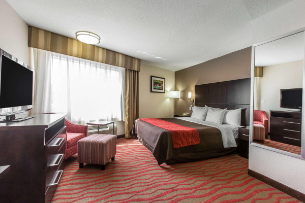 Las mejores ofertas de Comfort Inn Los Angeles near Hollywood Los Angeles