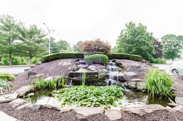 Las mejores ofertas de Clarion Hotel & Aqua Lagoon Waterpark West Springfield 