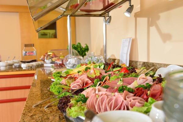 Las mejores ofertas de Michel Hotel Frankfurt Airport Russelsheim