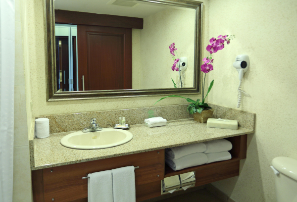 Las mejores ofertas de Holiday Inn at the Panama Canal Panamá