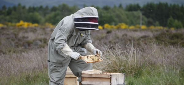 Las mejores ofertas de Gleneagles Hotel Auchterarder 