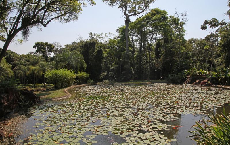 Las mejores ofertas de Iguazu Grand Puerto Iguazú