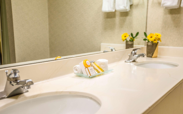 Las mejores ofertas de Hotel 116 - a Coast Hotel Bellevue Bellevue