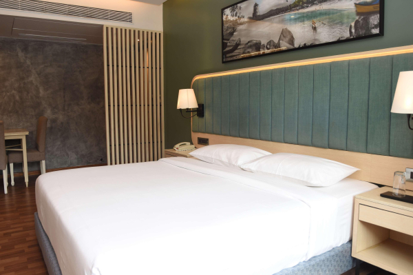 Las mejores ofertas de Park Inn by Radisson Goa Candolim Antigua Goa