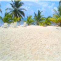 Las mejores ofertas de Anchorage Resort Belize