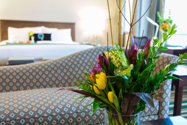 Las mejores ofertas de Hotel Blackfoot Calgary 