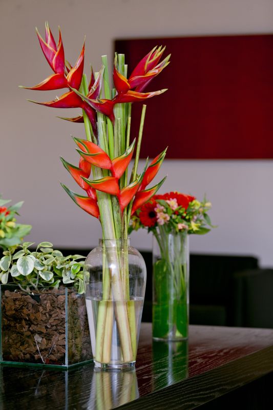 Hotel Belas Artes SP Paulista - Managed by Accor