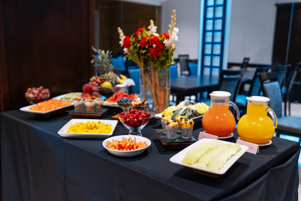 Las mejores ofertas de Amerian Executive Mendoza Hotel Mendoza