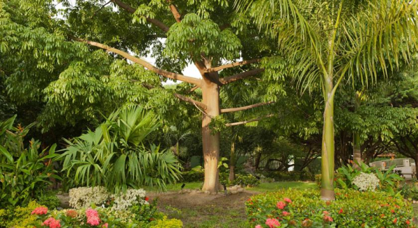 Las mejores ofertas de Hotel Irotama Lago Santa Marta