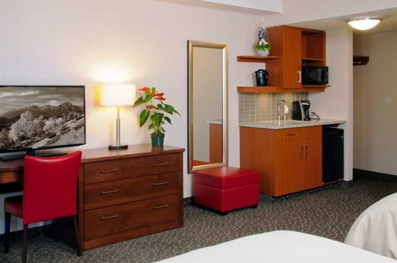 Las mejores ofertas de The Crimson Jasper Jasper