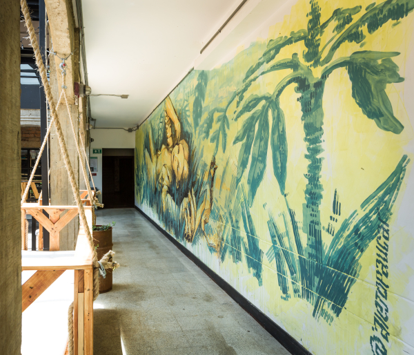 Las mejores ofertas de Socialtel Medellin Medellín 