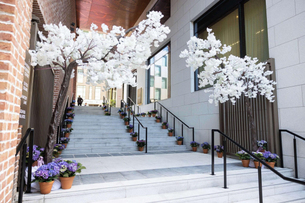 Las mejores ofertas de Radisson Blu Royal Hotel, Dublin Dublin
