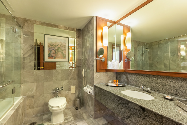 Las mejores ofertas de Rembrandt Hotel Bangkok Bangkok