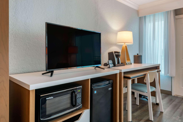 Las mejores ofertas de Winter the Dolphin's Beach Club Clearwater
