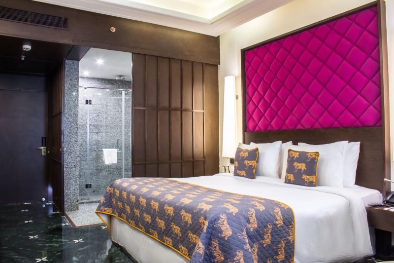 Las mejores ofertas de Clarks Amer Jaipur 