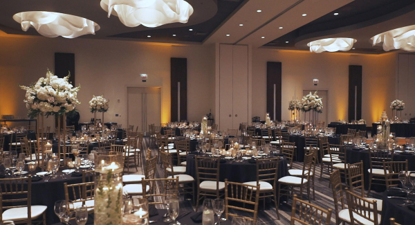 Las mejores ofertas de Loews Chicago O'Hare Rosemont