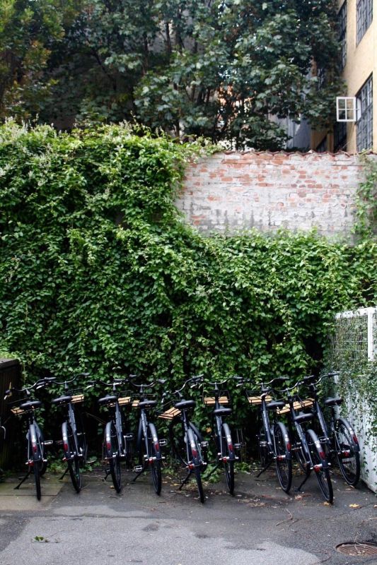Las mejores ofertas de Christian IV Copenhague