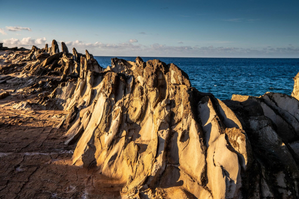 Las mejores ofertas de The Ritz-Carlton Maui, Kapalua kaplua