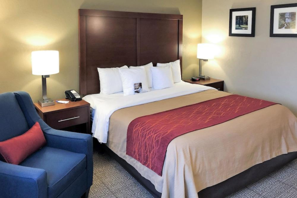 Las mejores ofertas de COMFORT INN FARMINGTON HILLS Farmington Hills