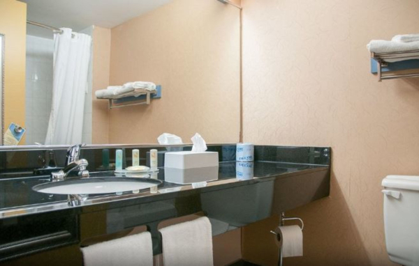 Las mejores ofertas de LELUX Hotel Montreal