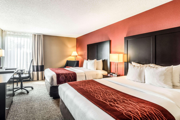 Las mejores ofertas de Comfort Inn O'Hare - Convention Center Chicago