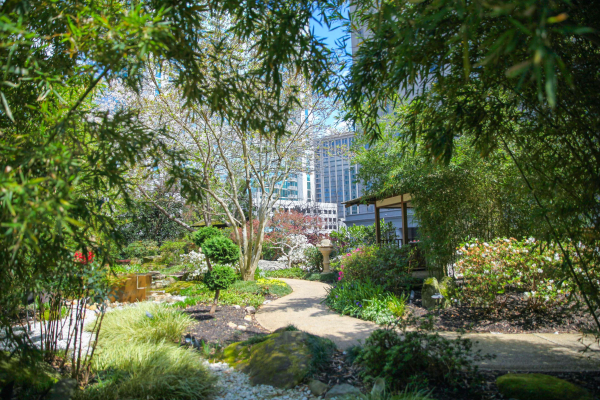 Las mejores ofertas de Grand Hyatt Atlanta In Buckhead Atlanta
