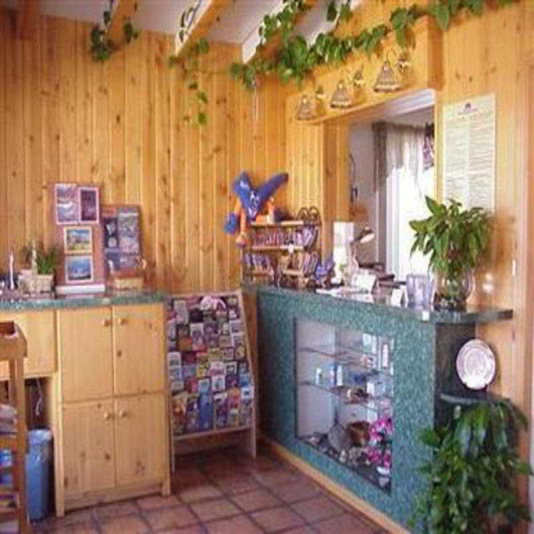 Las mejores ofertas de Americas Best Value Inn & Suites Holbrook